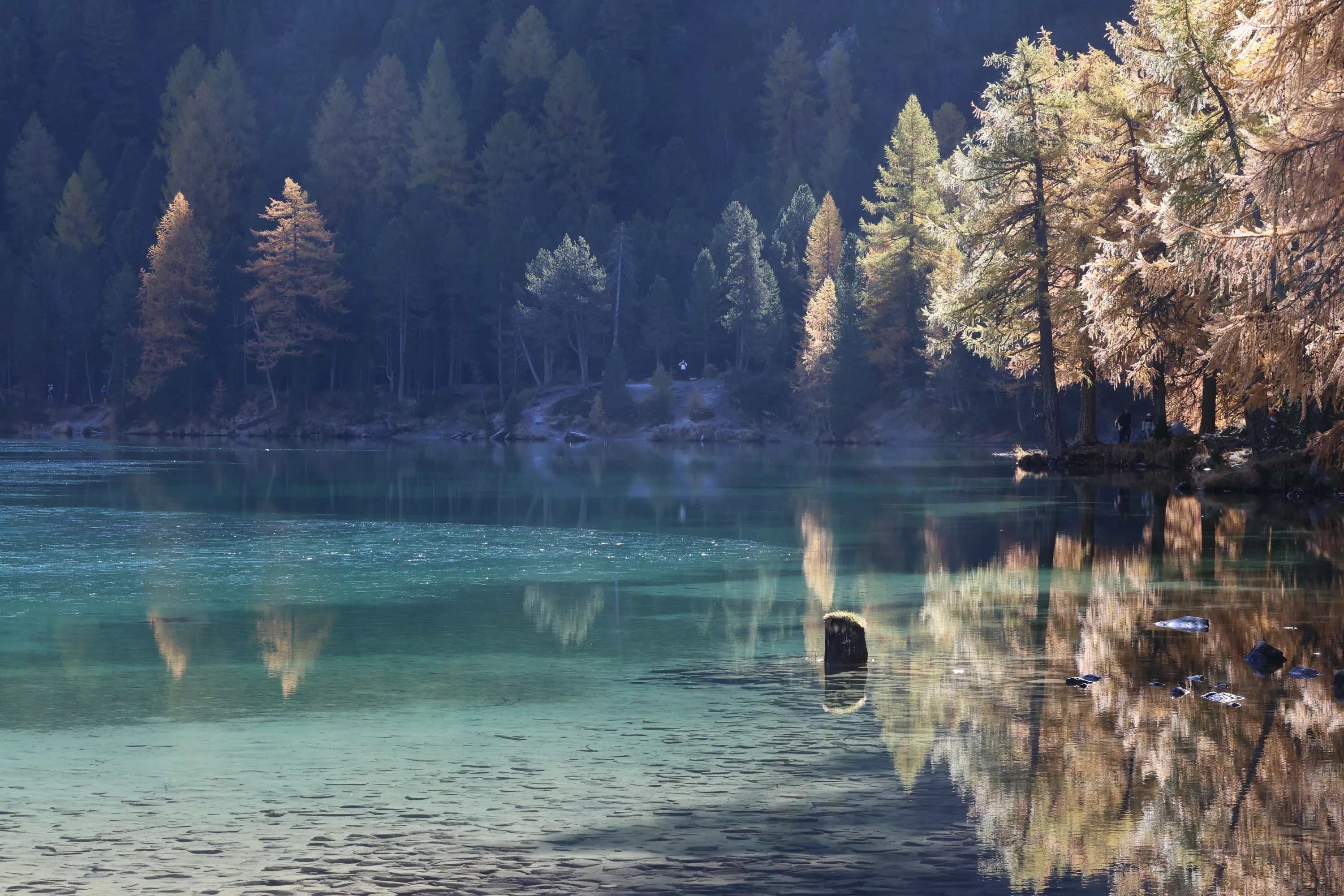 Bergsee mit Lärchenwald im Herbstlicht
